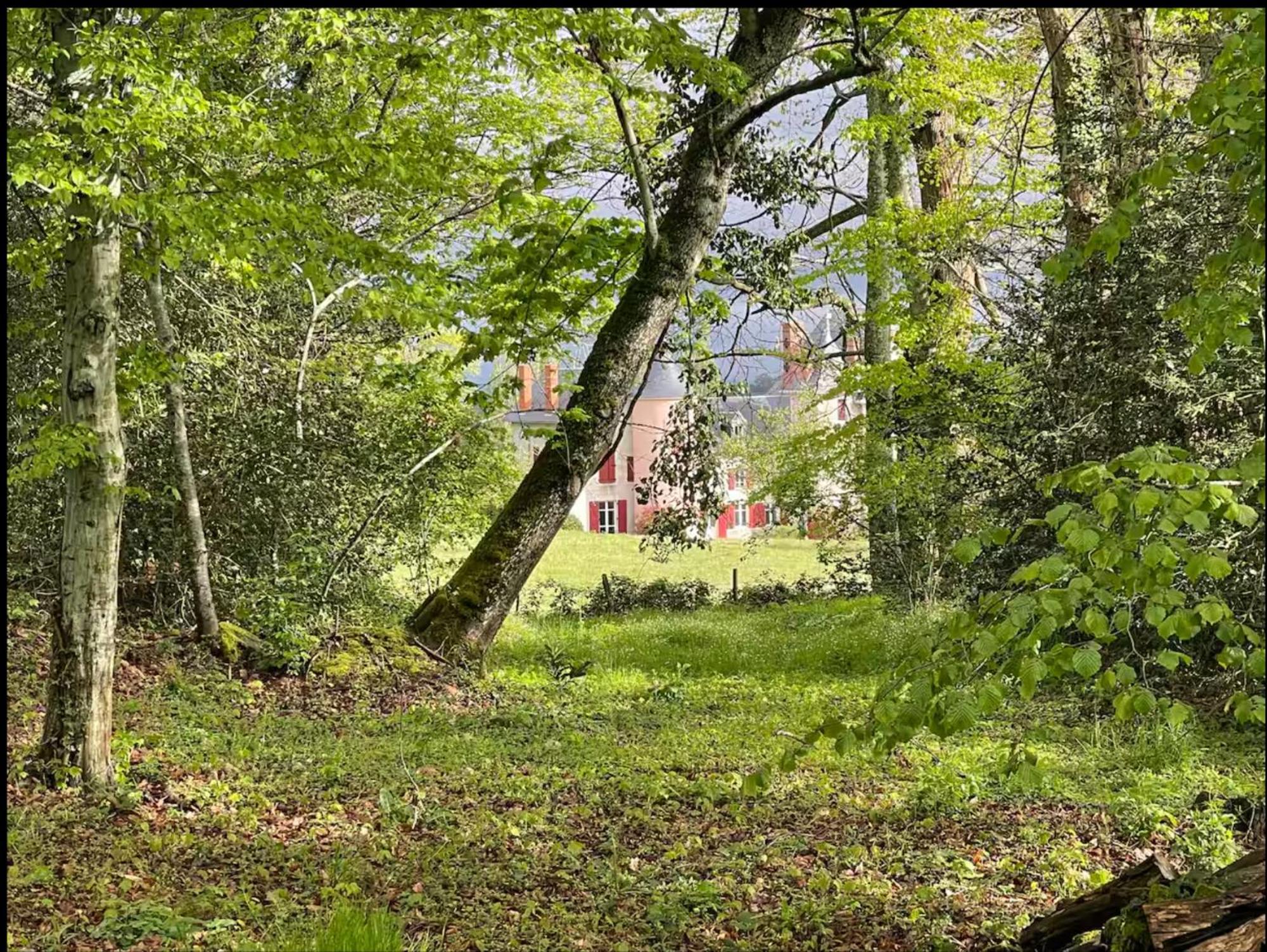 Chateau De La Combe La Celle  Luaran gambar